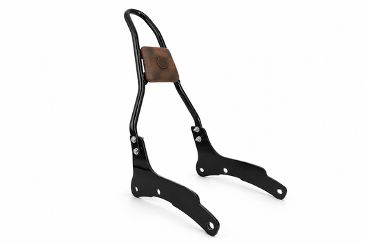 The sissy bar