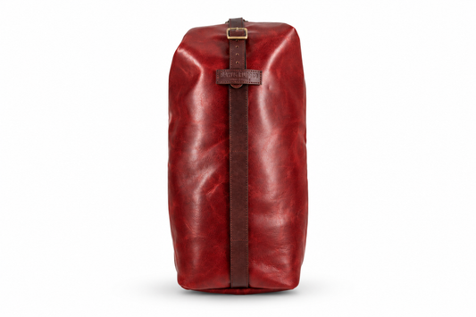 sissy bar bag