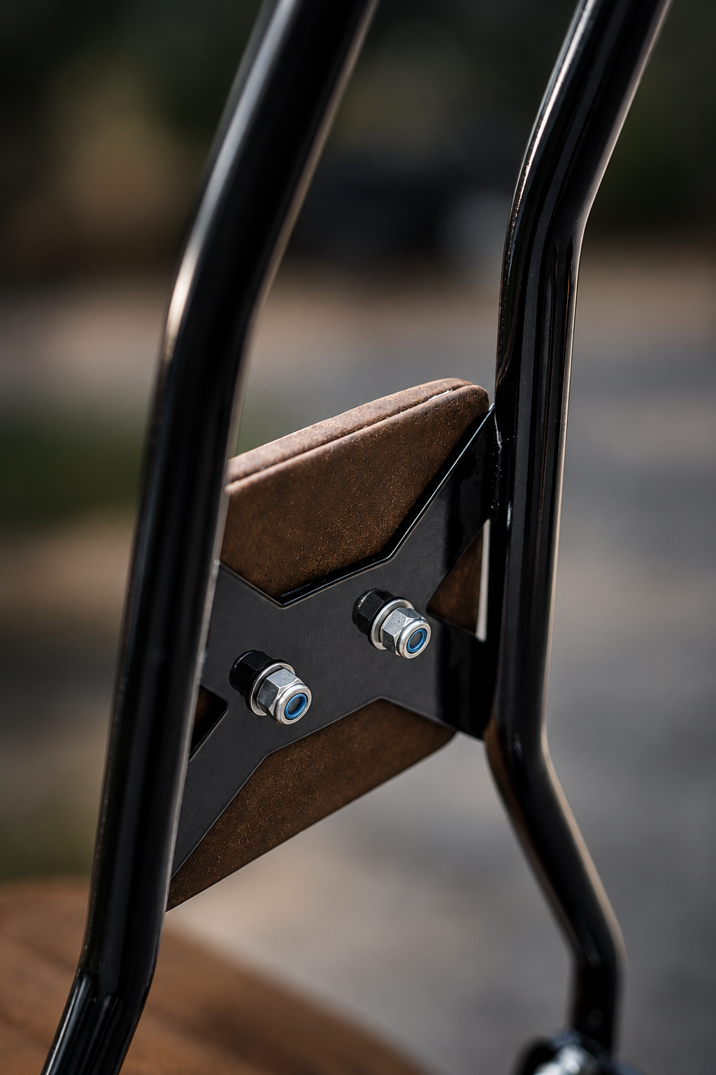 The sissy bar