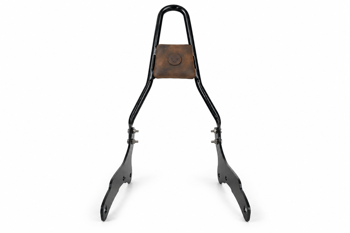 sissy bar bag