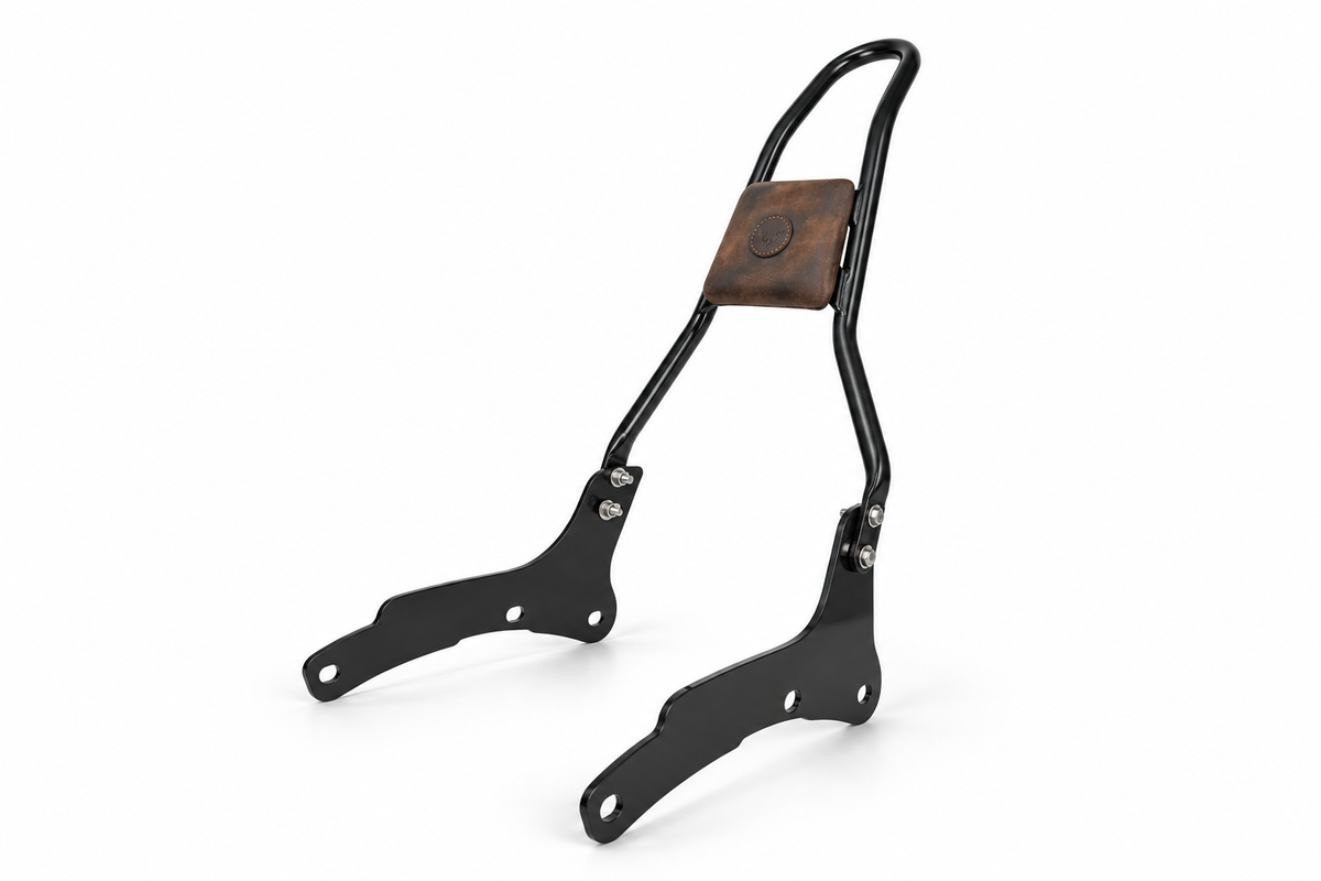 sissy bar bag