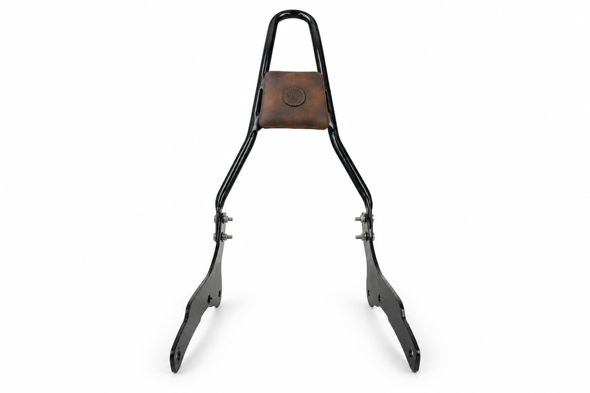 sissy bar bag